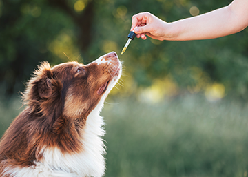 iStock-1450146032_web